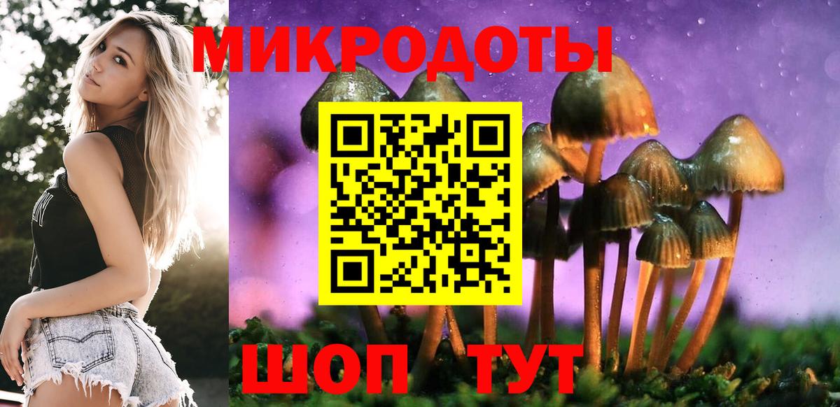 Псилоцибиновые грибы Magic Shrooms Тихорецк